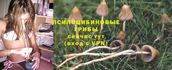 твердый Покровск