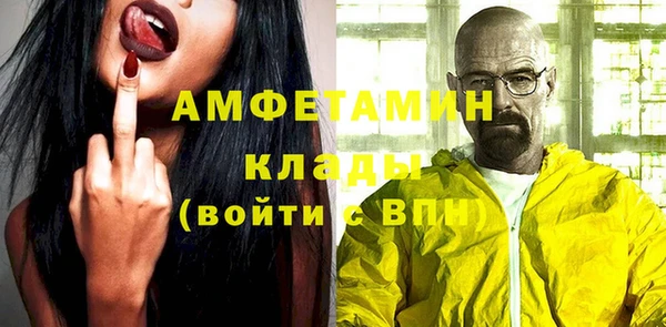 стаф Аркадак