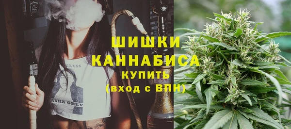 стаф Аркадак