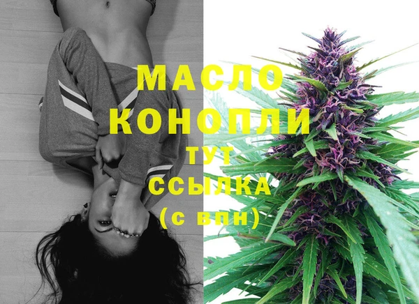 стаф Аркадак