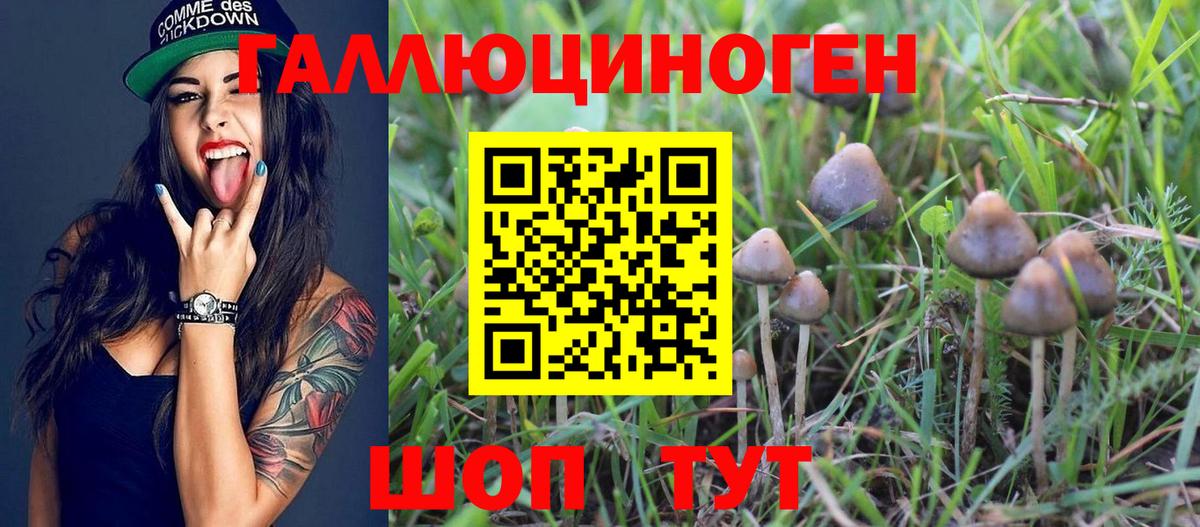 Сатка  Псилоцибиновые грибы Psilocybe  Вход с VPN  Галлюциногенные грибы ЛСД 