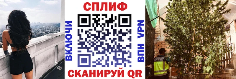 как найти   Сатка  Марихуана сатива 