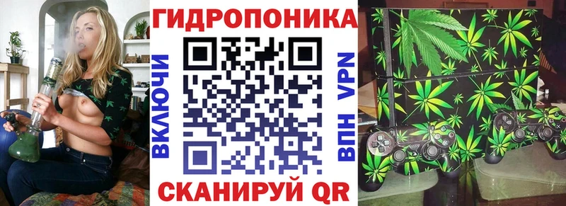 МАРИХУАНА сатива Сатка